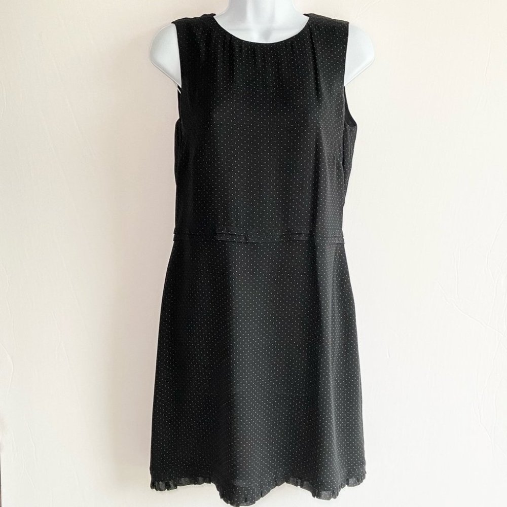 Ann Taylor polka dot silk dress